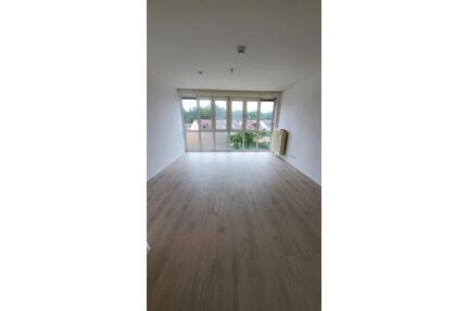 Helle 1,5 Zi. Wohnung in Nürnberg am Langwasser-See