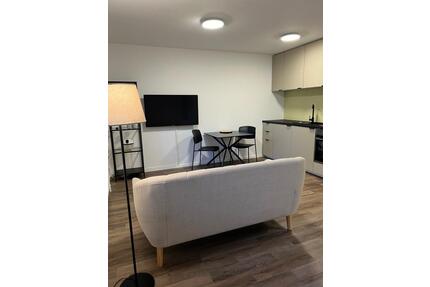 stilvoll möblierte 1-Zimmer-Wohnung in Holzgerlingen