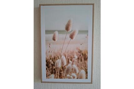 Ruhige Wohnung im JohannisviertelZiegelhof - Oldenburg