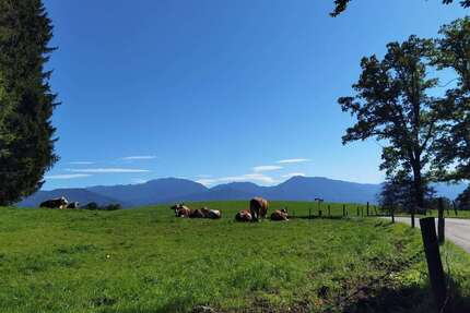 Haus zum Kaufen in Penzberg 2.600.000,00 € 215 m²