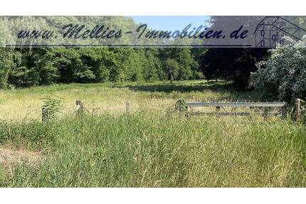 Traumgrundstück wartet auf Ihr Haus - Dannenberg Prisser