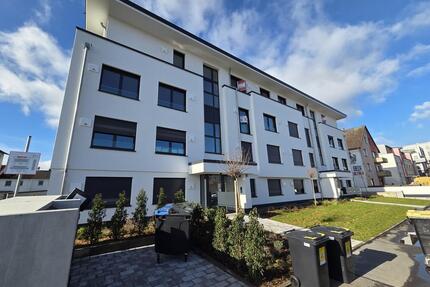 Große Dachterrasse, 4 Zimmer, Gäste-WC, EBK, TG-Platz, Rheinnähe, Mainz-Kastel! - Wiesbaden