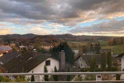 Schöne 2,5 Zimmerwohnung mit traumhaftem Ausblick und Balkon - Birkenau