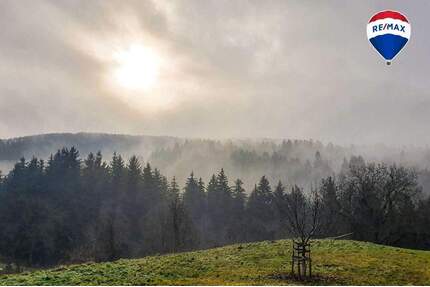 Idyllisches Wohnhaus mit Stall - ideal für Pferde-Tierhaltung oder Selbstversorgung in Brunnadern - Bonndorf