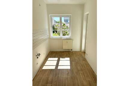 Wohnung zum Mieten in Dresden 616,00 € 56 m²