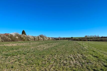 Einfamilienhaus Bj. 2001 mit unverbaubare Aussicht in Dingelstädt