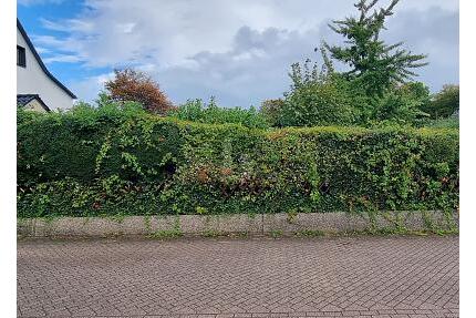 SONNENSTÜCK - UNBEBAUT UND NAHERHOLUNG - Essen