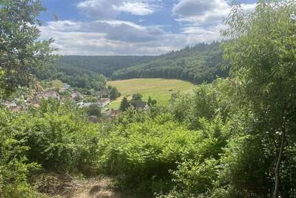 Haus zum Kaufen in Breuberg Wald-Amorbach 269.000,00 € 117 m² - Breuberg / Wald-Amorbach