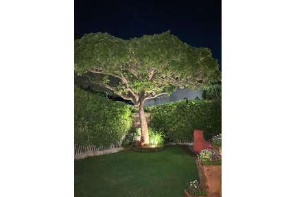 Haus zum Kaufen in Udenheim 737.000,00 € 165.75 m²