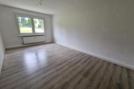***AKTIONSPREIS** 4-Zimmer-Familienwohnung im Erdgeschoss zu vermieten - Osterwieck