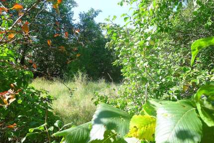 Grundstück zu verkaufen in Oranienburg 196.000,00 € 868 m²