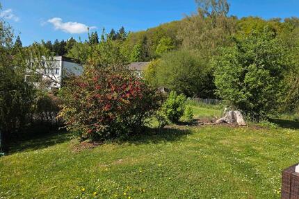 3 Zimmer Wohnung mit grossen Garten und Garage zu vermieten. - Gailingen am Hochrhein