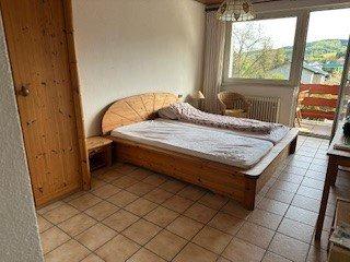 Appartement mit Bad und Balkon - 300,00&nbsp;EUR Kaltmiete, ca.&nbsp; 29,00&nbsp;m&sup2; in Mettendorf (PLZ: 54675)