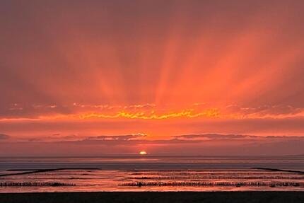 Ferienwohnung zwischen Büsum und St Peter Ording Nordsee Hund - Wesselburen