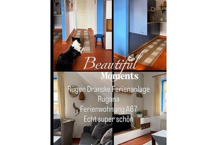Ferien Wohnung Rügen Dranske zu Mieten - Kaltenkirchen