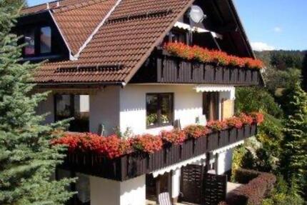 Wohnung in zentraler Lage mit herrlichen Ausblick - Braunlage Sankt Andreasberg
