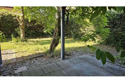 Wohnung zum Kaufen in Wachenheim an der Weinstraße 375.000,00 € 90 m²