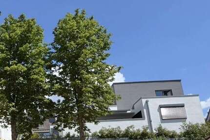 Haus zum Kaufen in Idstein 1.380.000,00 € 345 m²