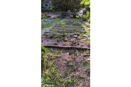 Pachtgarten abzugeben - 250,00&nbsp;EUR Kaltmiete, ca.&nbsp; 0,00&nbsp;m&sup2; in Meiningen (PLZ: 98617)