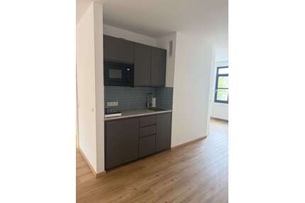 Wohnung zum Mieten in Neustadt 470,00 € 43 m²