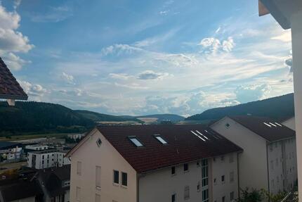 Moderne 4-Zimmer-Wohnung mit Balkon und Garage (privat) - Immendingen