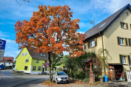 gelegenheit in affalterbach.haus mit 3 wohnungen 2350m2 platz