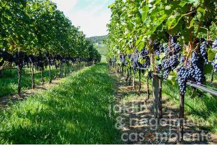 Haus zum Kaufen in Trento 8.950.000,00 € 489 m²