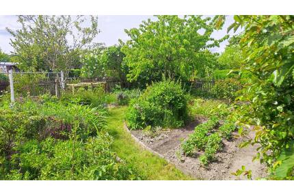 Kleingarten 320m² in Leipzig Paunsdorf Heiterblick