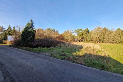 Unbebautes Grundstück am Rand des Darß-Waldes - Wieck a. Darß