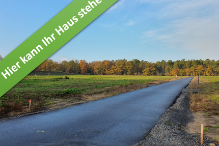 Haus zum Kaufen in Hodenhagen 336.450,00 € 109 m²