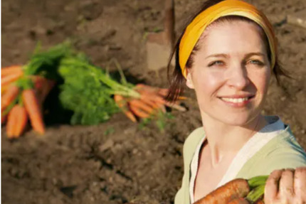 Gemüsegarten - 290,00&nbsp;EUR Kaltmiete, ca.&nbsp; 0,00&nbsp;m&sup2; in Königheim (PLZ: 97953)