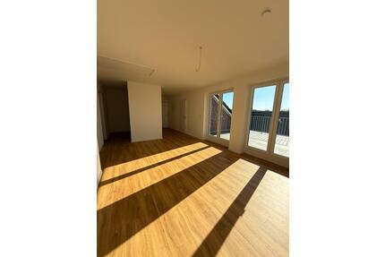 Wohnung in Lohne zu vermieten ab sofort! - Lohne (Oldenburg)