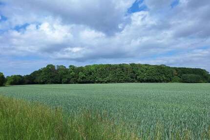 Grundstück in Greifswald 230.000,00 € 60442 m²