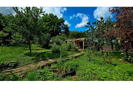 Pachtgarten mit Fernblick in EF-Möbisburg - Erfurt Hochheim