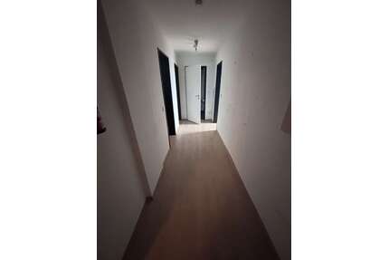 Wohnung zum Mieten in Wuppertal 540,00 € 50 m²