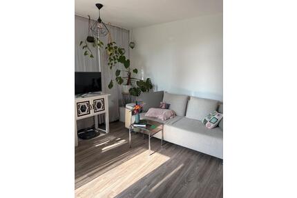 Schöne, helle 1-Zimmer-Wohnung mit Balkon - Molfsee