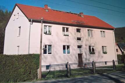 Haus zum Kaufen in Schmiedefeld 250.000,00 € 260 m²