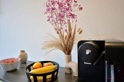 Gemütliche 2-Zi.-Whg., Parkett, BadDusche, WC extra, frisch renovierter AB, 2.OG, Johannis Nähe Klinikum - Nürnberg St Johannis