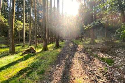 Grundstück in Pentling Matting 13.500,00 € 2193 m² - Pentling / Matting