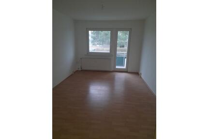 (719) 1-Zimmer Erdgeschosswohnung in ruhiger Lage (17094 Pragsdorf) - Burg Stargard