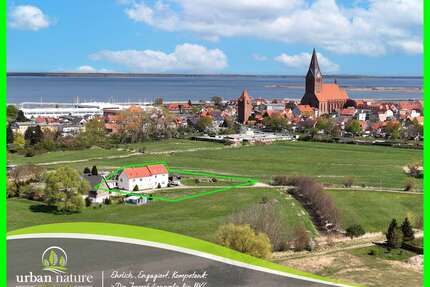 Haus zum Kaufen in Barth 499.000,00 € 281 m²