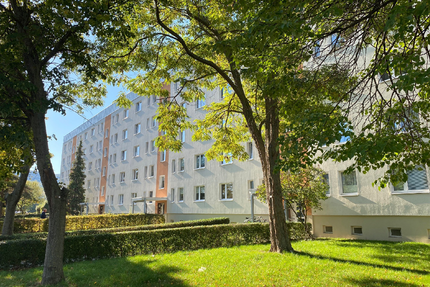 Wohnung zum Mieten in Wernigerode 193,30 € 26.81 m²