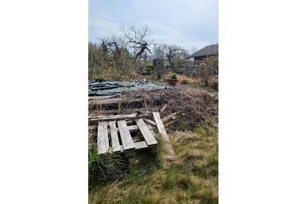 Kleingarten in 18609 BinzRügen 