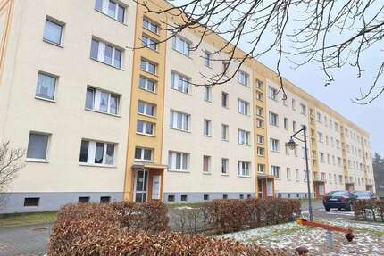 Wohnung zum Mieten in Jessen (Elster) 390,00 € 60 m²