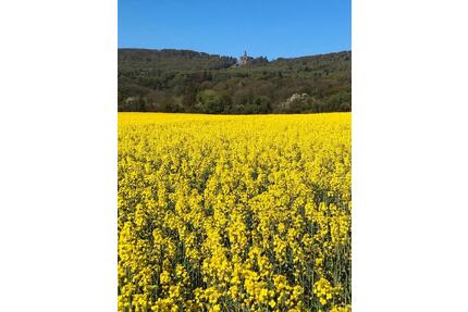 Ruhiges Zimmer an Wochenendheimfahrer - Kassel Kirchditmold