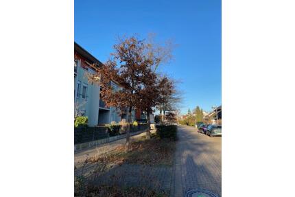 Barrierefreie, seniorengerechte 2,5-Zi-Wohnung mit Terrasse - Limburgerhof