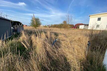 Grundstück in Roggentin 100.000,00 € 660 m²