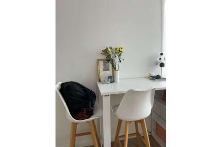 Wohnung zum Mieten in Gießen 500,00 € 21 m²