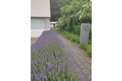 Komfort-Wohnun Bj. 2014 (ca. 80 qm) Barrierefrei Kleve-Materborn hochwertige Möbel.