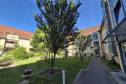 Wohnung zum Mieten in Dresden 578,05 € 59 m²